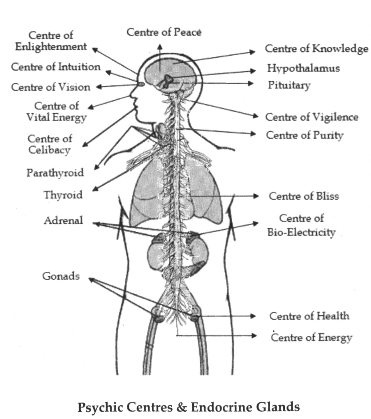 Psychic_Centres.jpg